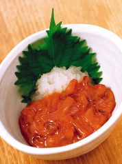 料理メニュー写真 定番!いかの塩辛