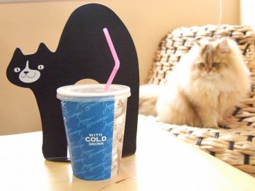 キャット Cat カフェ ねころびのおすすめ料理1