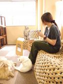 キャット Cat カフェ ねころびのおすすめ料理2