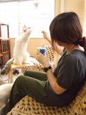 キャット Cat カフェ ねころびのおすすめ料理3