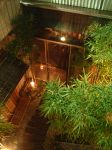 備長八 吉祥寺分家