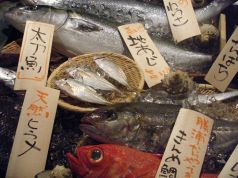 料理メニュー写真&nbsp;日替り旬の魚料理メニュー