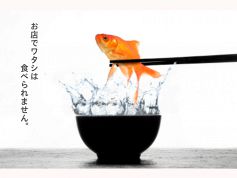 KINGYOの庭 金魚の庭のおすすめ料理2