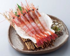 料理メニュー写真 甘海老の刺身