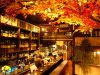 紅葉 もみじの写真