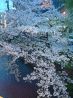 酒彩 あぐれまのおすすめポイント3