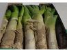 串焼亭 ねぎ 浦和店のおすすめポイント1