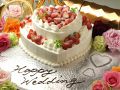 Dress WEDDING AND PARTY 中央区 西中洲のおすすめ料理1