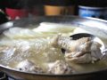 赤坂・六本木・麻布十番・西麻布　Mauloa マウロア 六本木のおすすめ料理