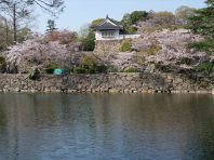 烏城畔　ふや平