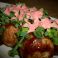 料理メニュー写真 ネギメンタイ