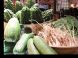 沖縄元気野菜＋α