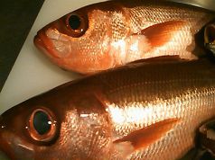 料理メニュー写真 お刺身(季節によって変わります)