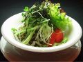 料理メニュー写真&nbsp;茶そばのサラダ