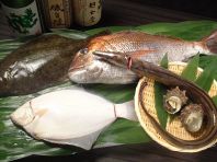 徳島産直鮮魚