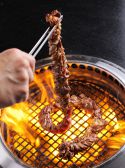 伊達哉 だてなり 其の壱 &nbsp;のおすすめ料理2