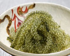 料理メニュー写真&nbsp;活け海ぶどう