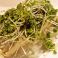 料理メニュー写真 冷奴ネギまみれ
