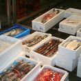 今日も鮮魚をセリで確保いたしました☆