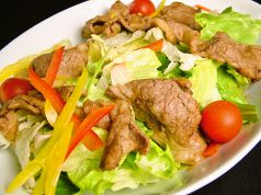 料理メニュー写真 焼肉のせのせサラダ