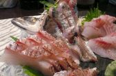三浦鮮魚直売所 横浜のおすすめ料理2