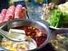 湘南火鍋房のおすすめポイント2