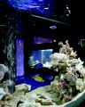 東京　新宿 個室 居酒屋 Europeandining 流響の雰囲気