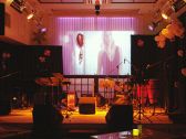 ミセス ドルフィン Mrs.Dolphinの雰囲気2