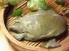 鰹 炭火 岐阜市 玉宮町のおすすめポイント2