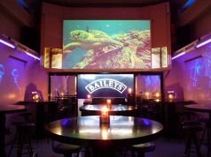 ジェリーフィッシュ Jelly fishの雰囲気2