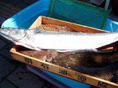 魚菜酒蔵 だいがく 三宮店の写真