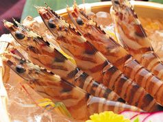 料理メニュー写真 一日30食限定!! 活 車海老のおどり
