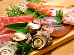 ダイニング ギョギョ Dining 魚々の写真