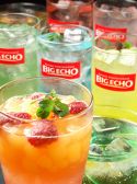 ビッグエコー BIG ECHO 上野駅前店のおすすめ料理3