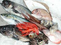 毎朝、市場で目利きの鮮魚