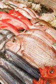 魚一商店 松戸直売所の雰囲気3