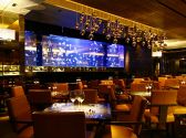 lounge MEDUSA メデューサ