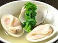 料理メニュー写真&nbsp;ハマグリ
