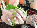 料理メニュー写真&nbsp;活アジ刺身