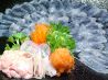 かとう 蓮池町通 季節料理のおすすめポイント1