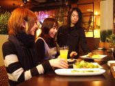 MahiMahiの雰囲気2