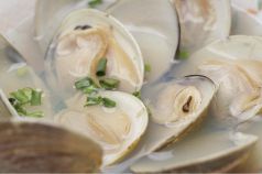 料理メニュー写真&nbsp;※沖縄ゴーヤチャンプル　※本日の煮込み　※あさりの酒蒸し　　