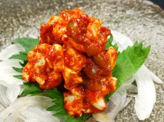 料理メニュー写真 エイヒレ炙り・チャンジャのクリームチーズ和え・食べるラー油の冷奴・するめの天ぷら