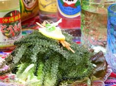 沖縄 や がじゅまる食堂の写真