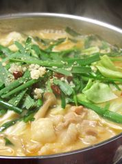 もつ料理 かわ乃 博多店特集写真1