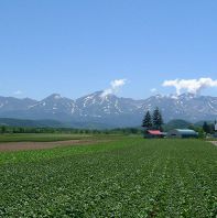 とにかく北海道への熱い愛