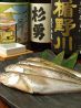旬味 井筒 しゅんみ いづつ 山形庄内料理のおすすめポイント2