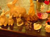 ｒａｂｂｉｔｓ
