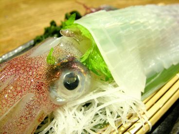 旬魚旬菜 てんじんのおすすめ料理1