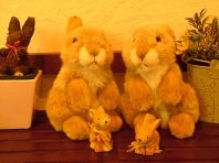 ｒａｂｂｉｔｓ